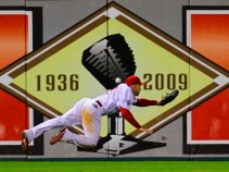 Top Sports Photos
