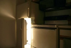 100 Dead Cats Found in Freezer