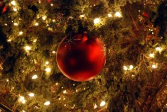 Looking For Holiday Lights and Events?