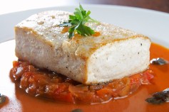 Coast Global Seafood Recipes