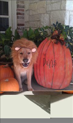 Your Fall Photos 2012 - Gallery III