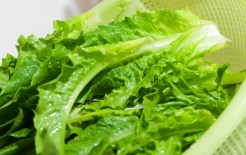 Nationwide Bagged Salad Recall