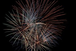 Botanic Garden Feature Concerts, Fireworks