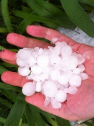 Rain, Hail Storm Through Metroplex