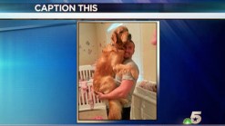 Caption This - Daddy Save Me!