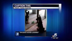 Caption This Photo for May 25, 2012