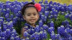 Bluebonnets in Bloom 2013 - Gallery II