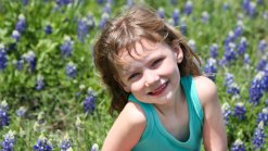 Bluebonnets in Bloom - April 12, 2013