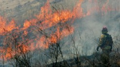 Wildfire Evacuation Order Lifted