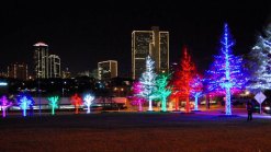 Where to See the Local Lights