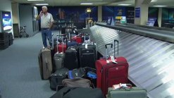 Blame Flies as Gov't Warns of More Flight Delays