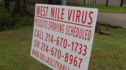 Mosquito Spraying Working in Dallas County