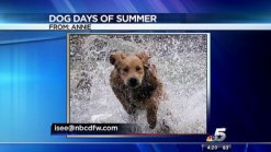 Dog Days of Summer: Addison and Pepper