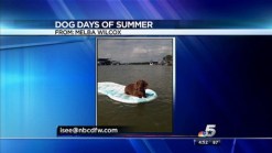 Dog Days of Summer: Molly and Carmella