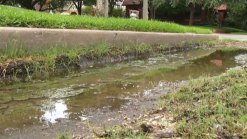 Fort Worth Fights Property Owners Over Standing Water