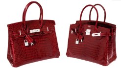 Hermes Handbag Auctioned for Nearly $205K