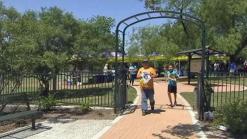 Saving Trees in Grand Prairie