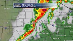 Microcast Loop 2 p.m. - 11 p.m.