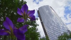 Museum Tower Glare Threatens Nasher Art