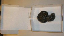 Pizza Worker Accused of $40K Cocaine Delivery