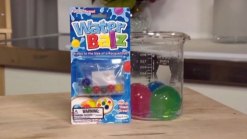 Consumer Report: Super-Absorbent Toy Ball Caution