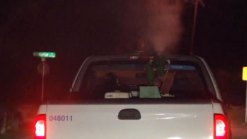 Duncanville to Spray After High Mosquito Numbers