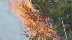 Denton Co. Firefighters Train for Wildfires