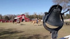 Dallas Plans for Major Horse Park