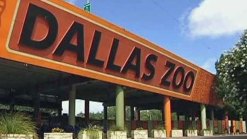 Experience the Dallas Zoo For Just a Buck 