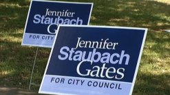 14 Dallas City Council Seats Up for Election