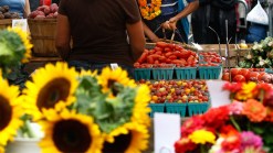 Cowtown Hosts Farmers Market