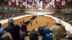 Stock Show Sees One Million Visitors