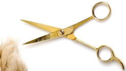 JCP Gives Free Kids Haircuts All Year