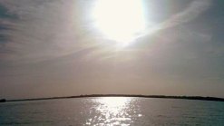 Boy Who Got Brain Infection After Swimming Dies