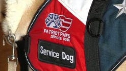 Veterans Get New Leash On Life