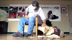 Pairing Veterans With Service Dogs