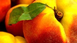 Things Are Just Peachy in Parker County