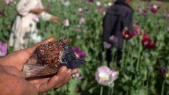 Afghan Drug Traffic Continues as U.S. Nears Exit