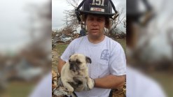 Humane Society, SPCA Join Tornado Relief Effort