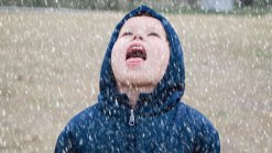 Your Snow Photos: Feb. 12, 2012