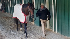 Orb Trainer: Derby Worth the Wait