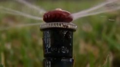 Stage Four Water Restrictions TBD