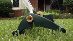 NTMWD Eases Water Restrictions