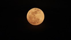 Viewer Photos: Super Moon