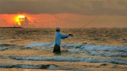 Mercury Levels Prompt Coastal Fish Warning