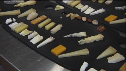 Scardello Teaches the Sophistication of Cheese