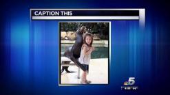 Caption This: Sophia and the Seal