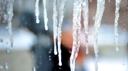 School Closing Alerts