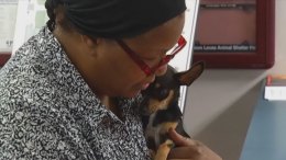 North Texans Adopt Shelter Pets
