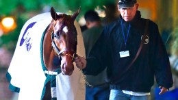 Injury Dashes Triple Crown Dream 